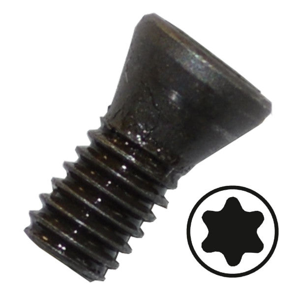 Torx TX20 M5 x 11 mm    