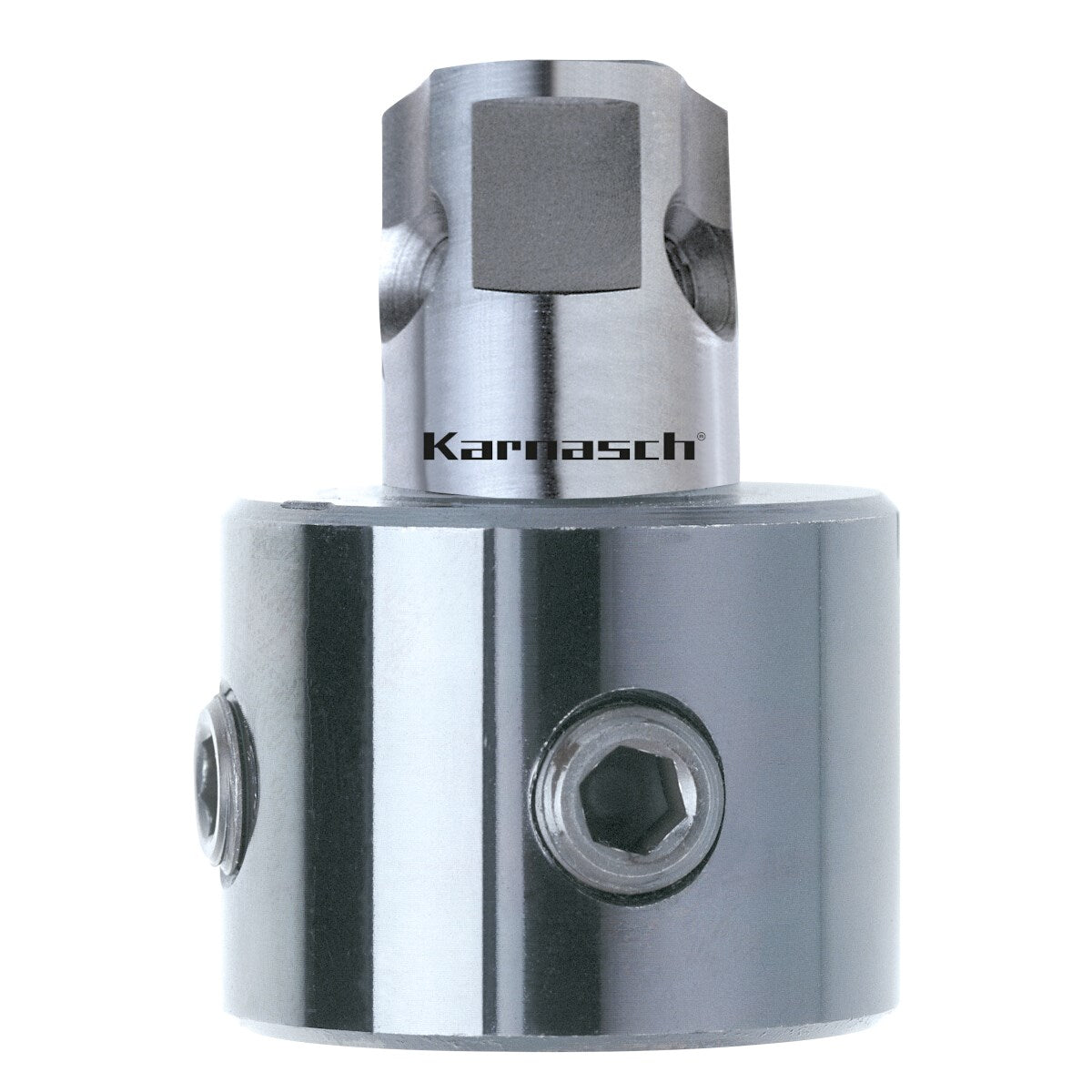 Karnasch 201314