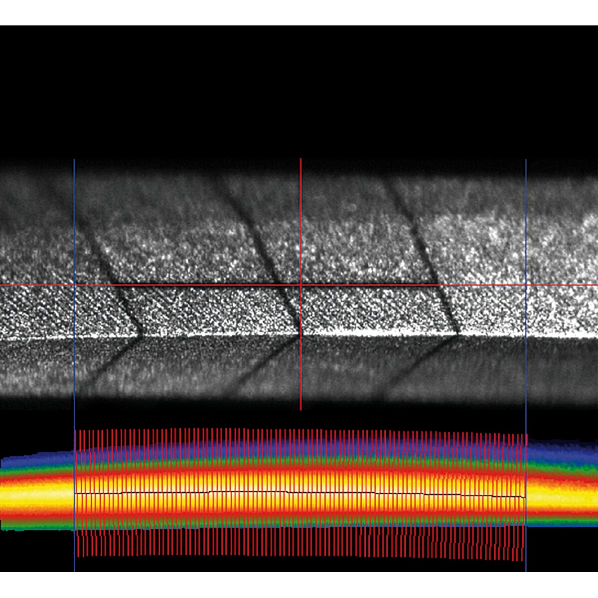 Karnasch 2203920320075