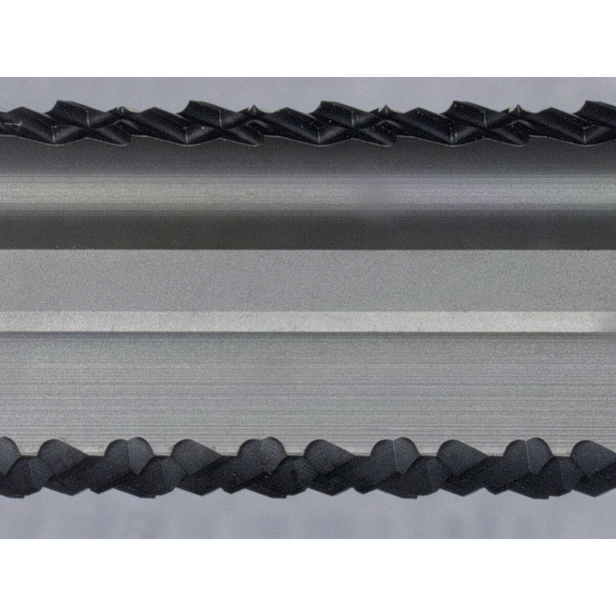 Karnasch 291771100030