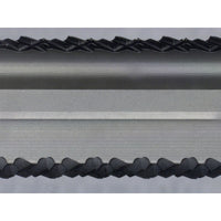 Karnasch 291771100030